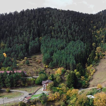 Holiday Borjomi Qvibisi 외부 사진