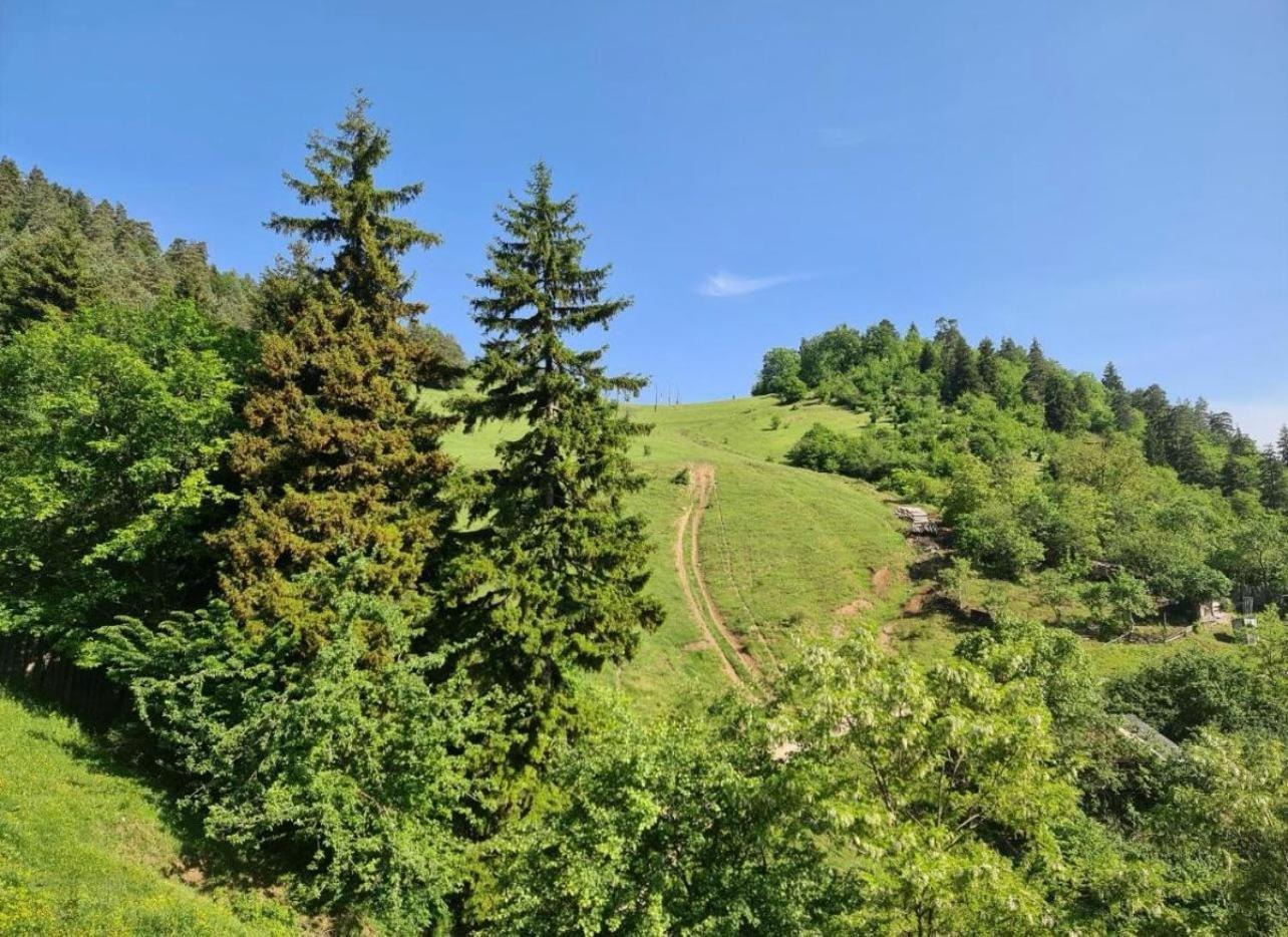 Holiday Borjomi Qvibisi 외부 사진