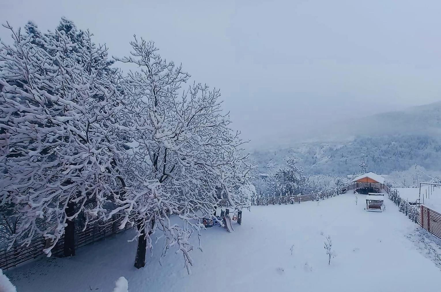 Holiday Borjomi Qvibisi 외부 사진