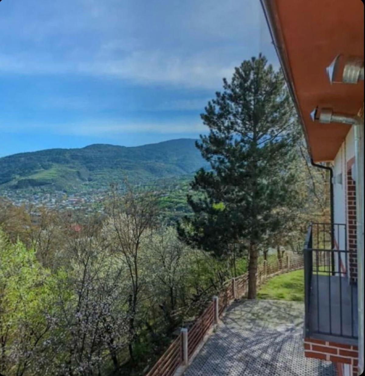 Holiday Borjomi Qvibisi 외부 사진