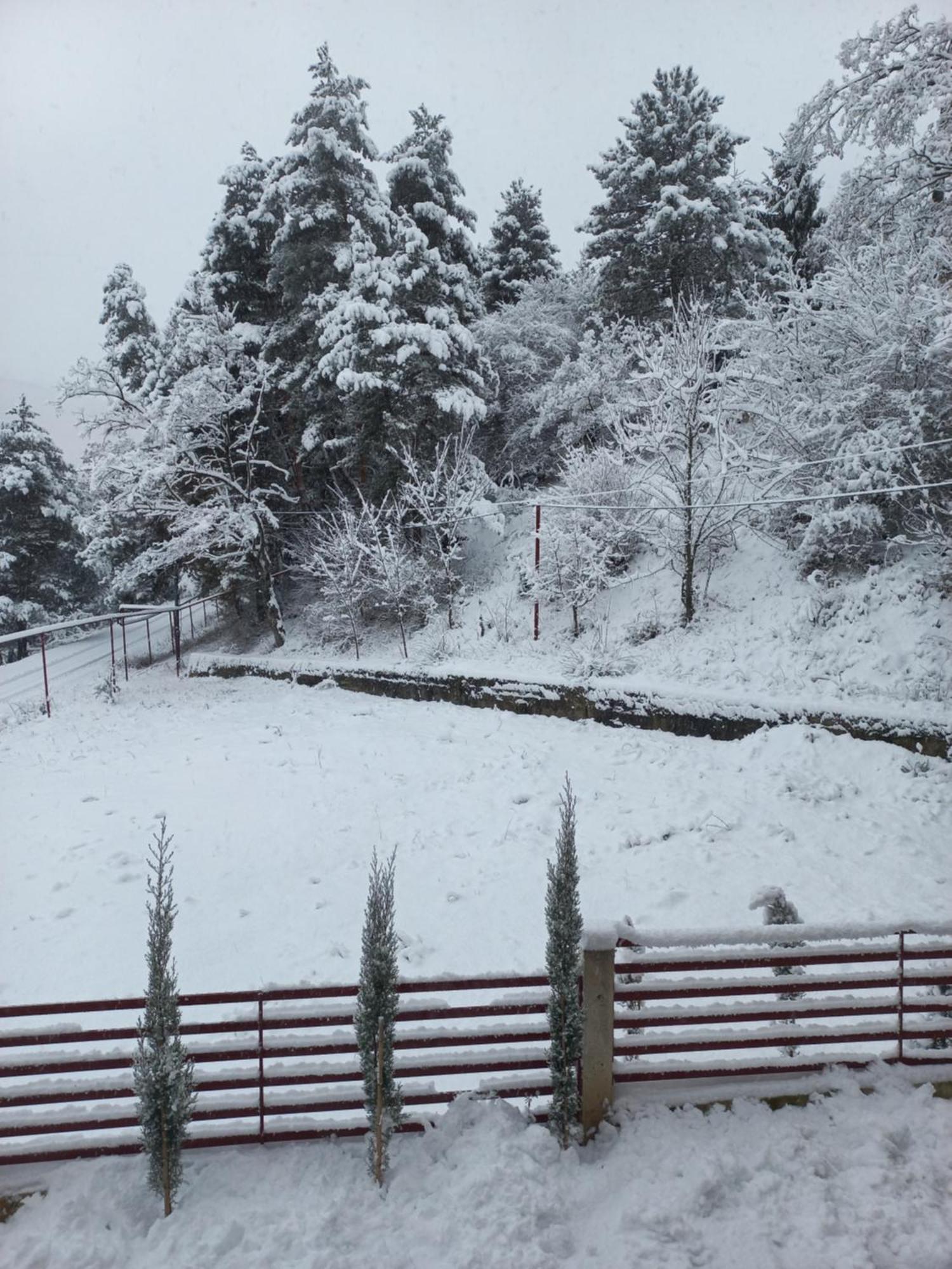 Holiday Borjomi Qvibisi 외부 사진