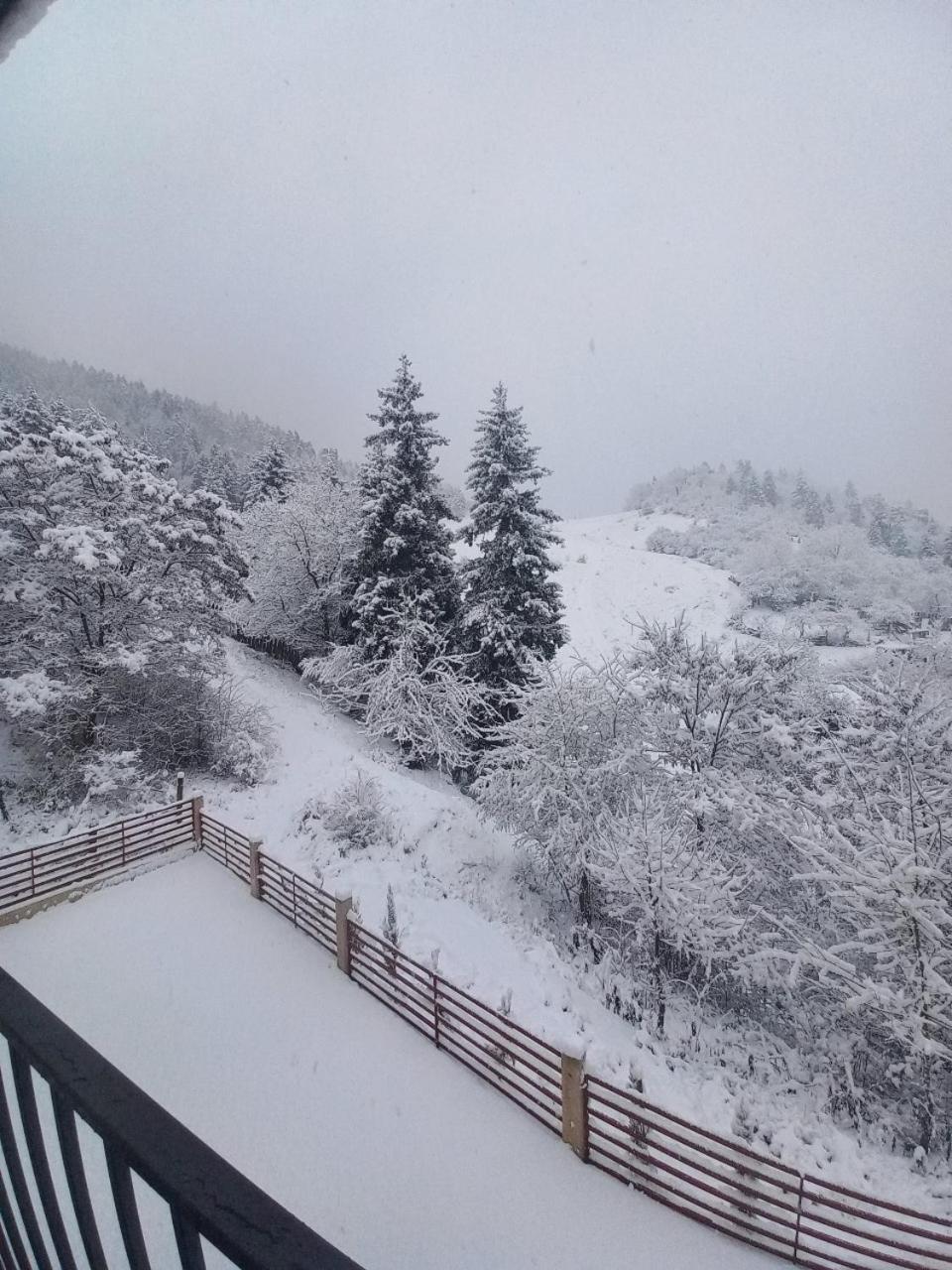 Holiday Borjomi Qvibisi 외부 사진