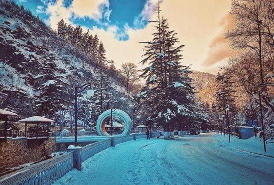 Holiday Borjomi Qvibisi 외부 사진