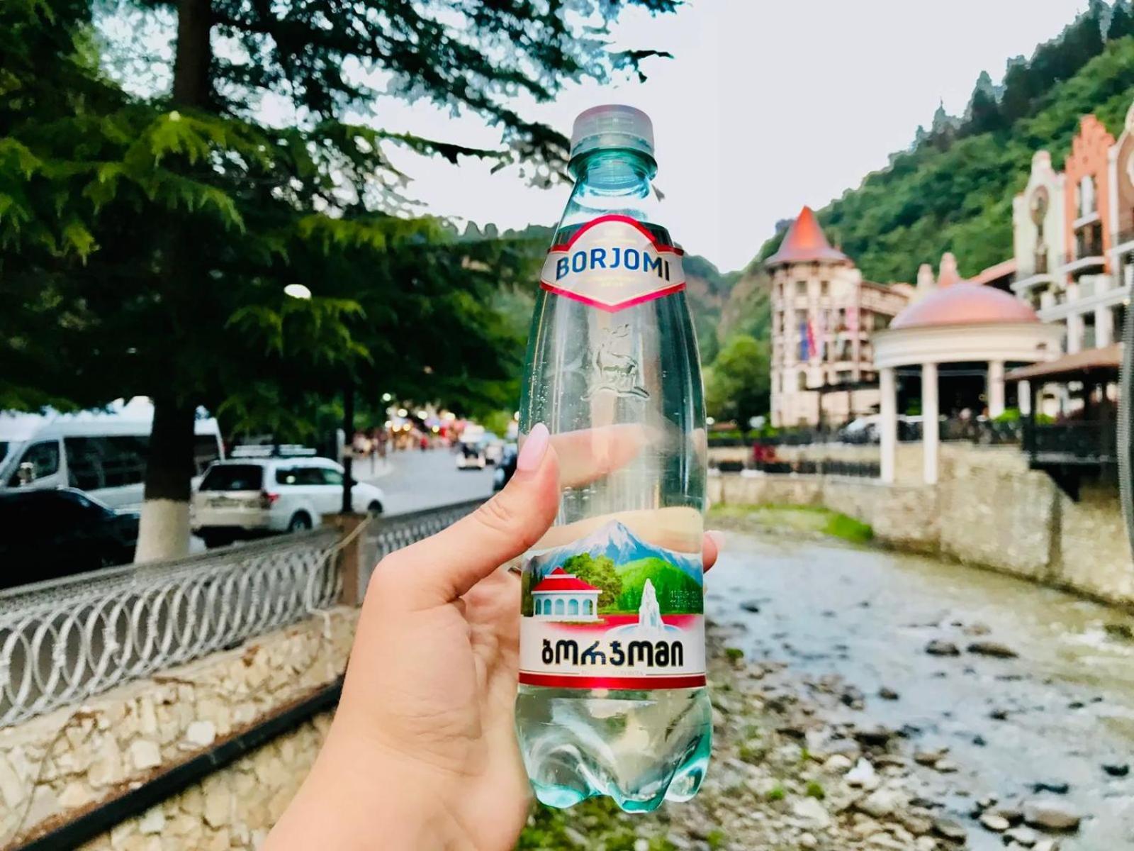 Holiday Borjomi Qvibisi 외부 사진